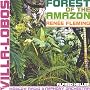 Villa-Lobos : Forest of the Amazon