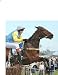 The Professional Master Form Horse Racing Ratings System