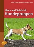 Ideen und Spiele für Hundegruppen: Hundekurse sinnvol gestalten