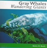 Gray Whales: Wandering Giants