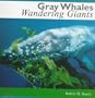 Gray Whales, Wandering Giants