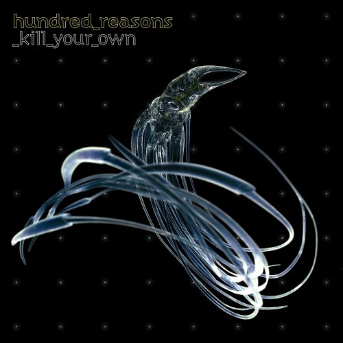 CD-Charts  Music : Kill Your Own