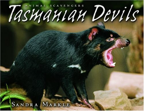 Tasmanian Devils (Animal Scavengers)
