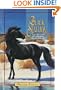 The Black Stallion