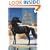The Black Stallion