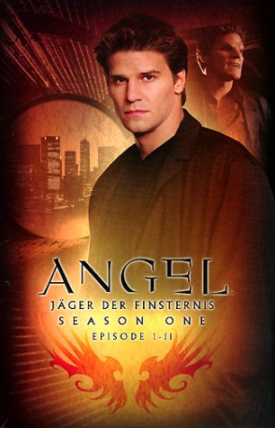 Angel - Jäger der Finsternis: Season 1.1 Collection (Episoden 1-11)