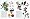 The Botanical Garden: Volume 1 Trees and Shrubs (Botanical Garden)