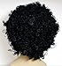 Rubie's Costume Co Humor S Mid Length Afro Black Wig