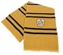 Hufflepuff House Scarf