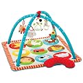Skip Hop Funky Farmyard Activity Gym