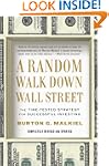 Random Walk Down Wall Street, A