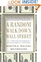 Random Walk Down Wall Street, A