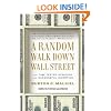Random Walk Down Wall Street, A