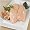 Whole Lobe of Fresh Goose Foie Gras - Grade A - Flash Frozen