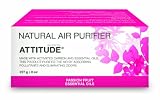 Attitude Natural Air Purifier, Passion Fruit, 8-Ounce Boxes (Pack of 12)