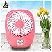 LP Mini USB Output Electric Fan Compact Easy To Carry for the Office , Home , Dorm , Study , Library , Games Room Outdoor Travel , Keep You Cool and Relaxed (Pink)