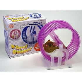 Hamster on Wheel Runner