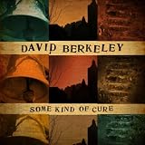 David Berkeley Some Kind of Cure