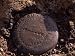 Desolation Peak Geological Survey Marker, Washington Photographic Poster Print
