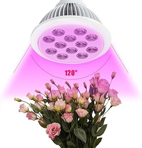 LAPUTA 24W Growing Bulbs,Led Grow Light Bulb,12pcs Chips Lamp Plant Grow Lights E27 Miracle Growing Bulbs For Hydroponics Garden Greenhouse 3 Blue/9 Red