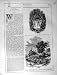 Art Journal 1860 Loughor Llwchwr Wales Cwm Gwill Mill