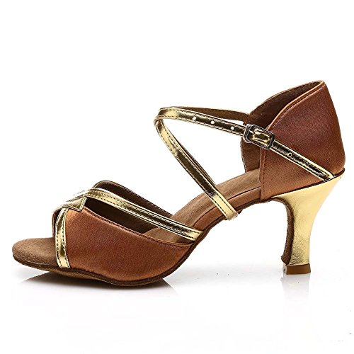 Roymall Women's Satin Latin Dance Shoes Model 225-7