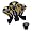 West Virginia Mountaineers