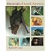 Mammals of South America