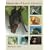 Mammals of South America