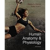 human anatomy  physiology plus a brief atlas of the human body plus masteringap with pearson etext
