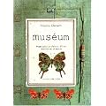 Mus�um