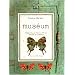Mus�um