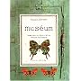 Mus�um