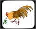 Mouse Pad with feeding, chicken, bird