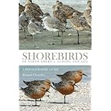 shorebirds of north america europe and asia a photographic guide
