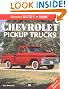 Illustrated Chevrolet Pickup Trucks Buyer's Guide (Motorbooks International Illustrated Buyer's Guide)