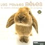 Les petites b�tes et autres animaux de la ferme