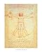 Vitruvian Man Leonardo Da Vinci 16x20