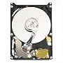 Western Digital Scorpio Blue 80 GB Bulk/OEM Hard Drive 2.5 Inch, 8 MB Cache, 5400 RPM EIDE WD800BEVE