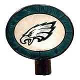 Philadelphia Eagles Art Glass Night Light