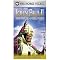Catholic - Papal - Vatican