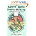 Native Plants, Native Healing: Traditional Muskagee Way