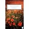 American Literature