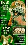 Tiger On The Tiles / Beasts Of The Field [1991]