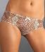 Aubade Sweet Jungle Boxer Panty