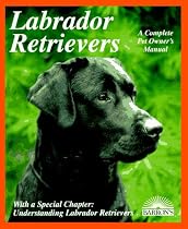 Labrador Retrievers: Everything About Purchase, Care, Nutrition, Diseases, Breeding, and Behavior (Barron's Complete Pet Owner's Manuals)