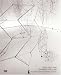 Gego, 1957-1988: Thinking the Line by  ISBN 3775717870