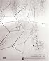 Gego, 1957-1988: Thinking the Line