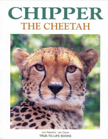 Cheetahs