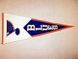 Saint Louis Blues - Classic NHL Hockey (Pennants)
